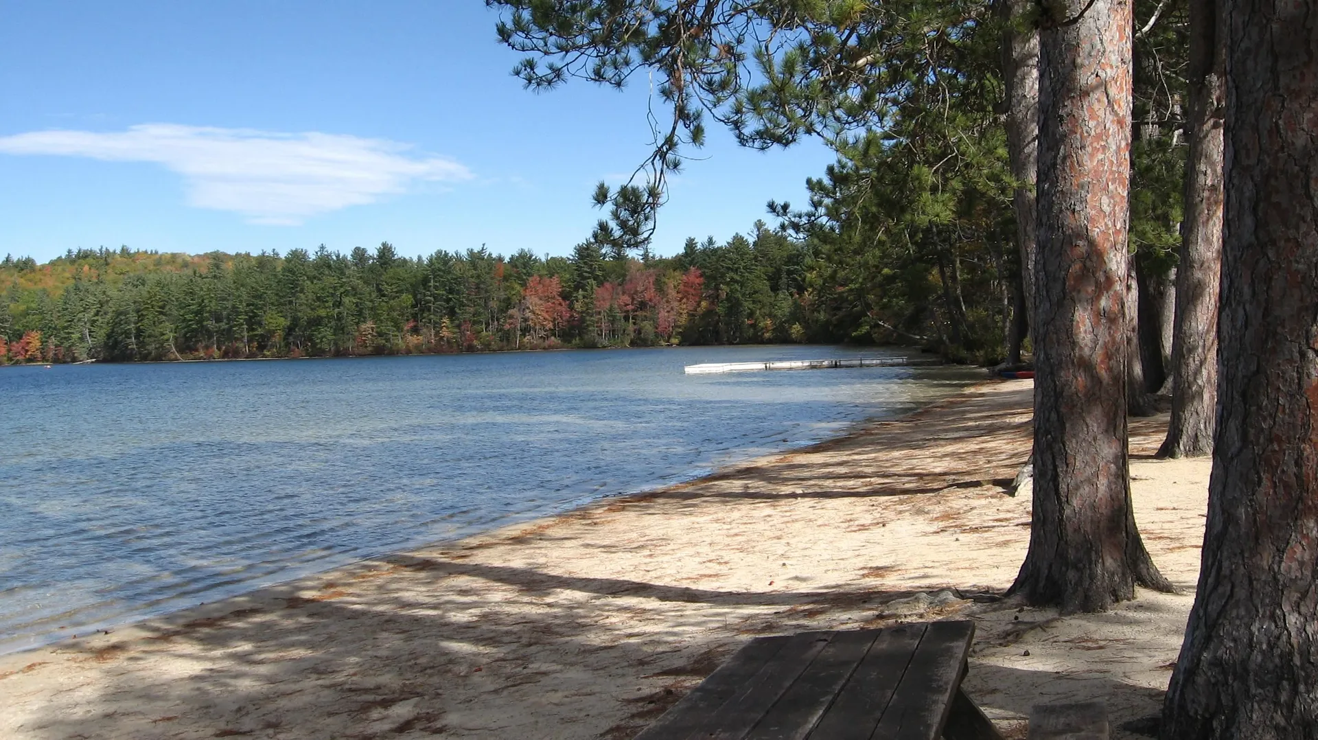 12 Logan Way Ossipee NH 03890