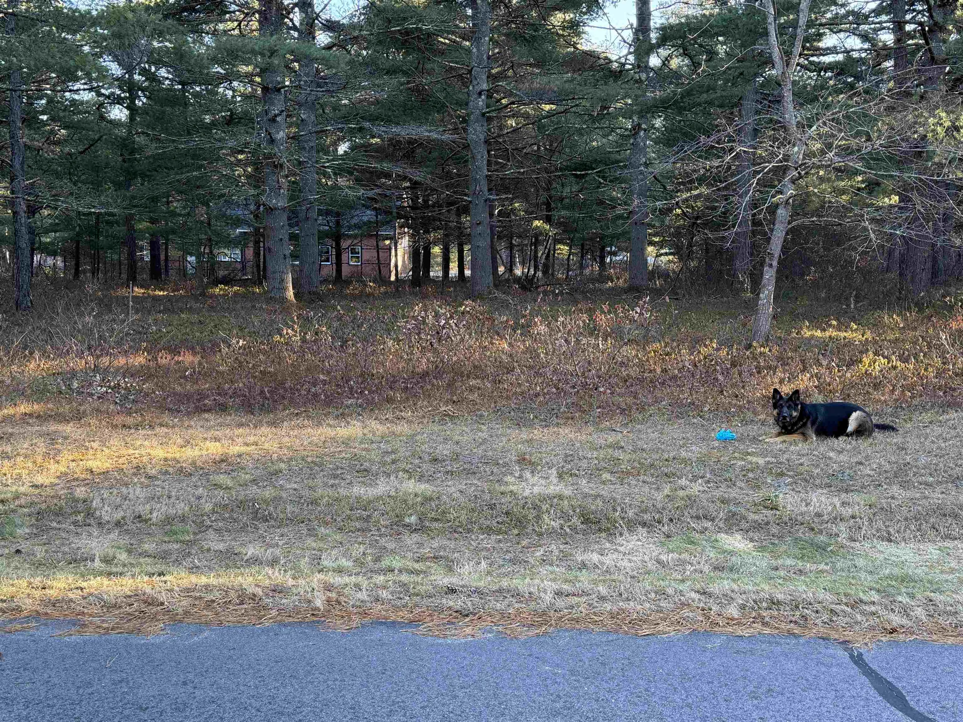 12 Logan Way Ossipee NH 03890