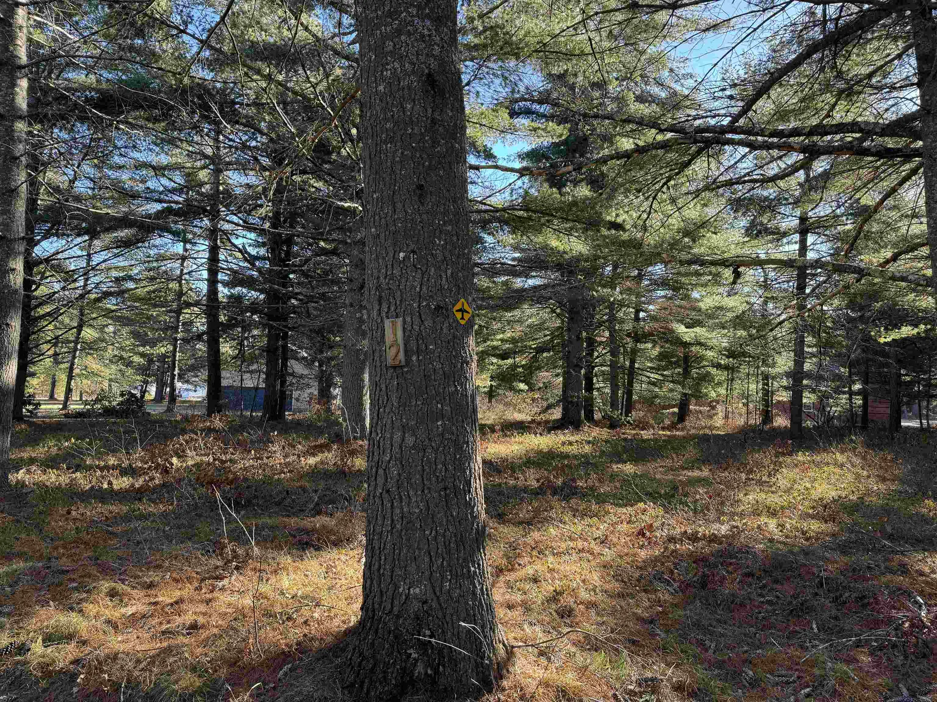 12 Logan Way Ossipee NH 03890