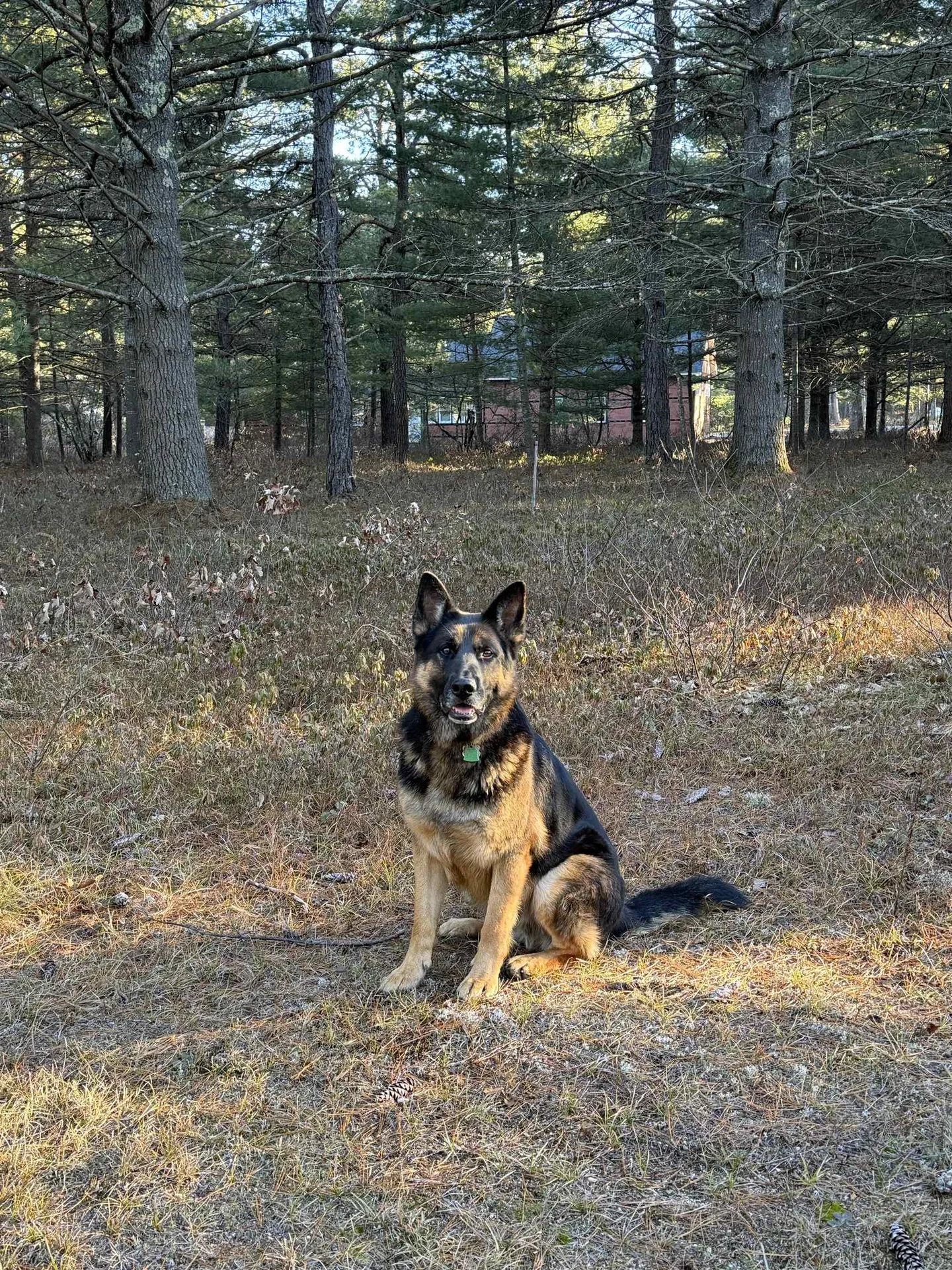 12 Logan Way Ossipee NH 03890