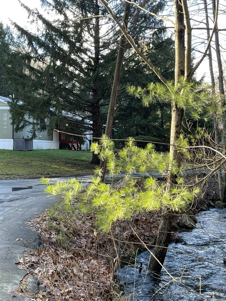 5 Matthew Road Hooksett NH 03106