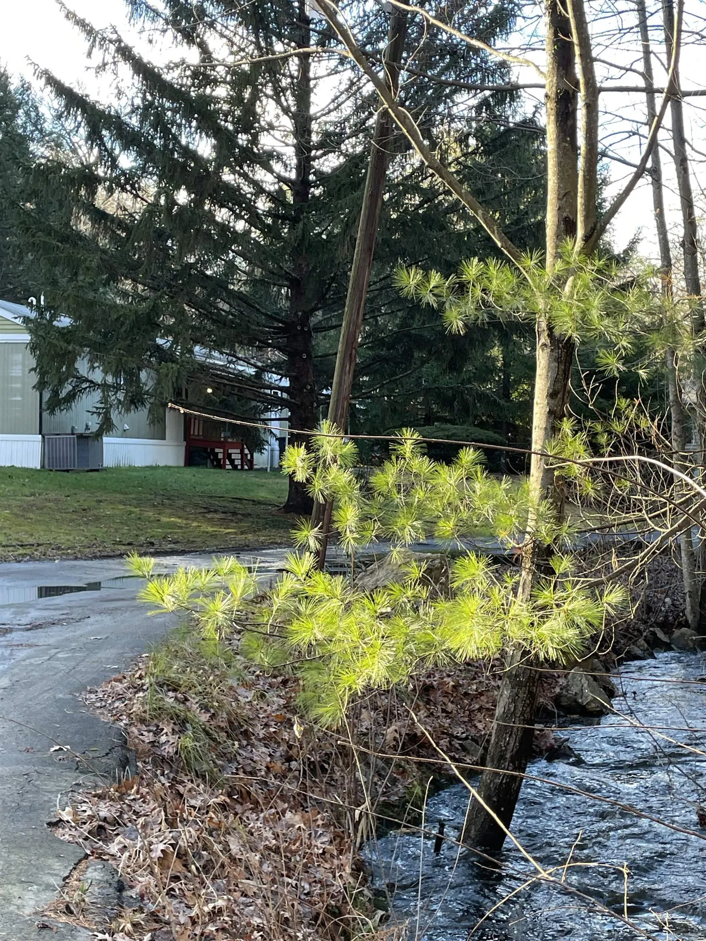 5 Matthew Road Hooksett NH 03106
