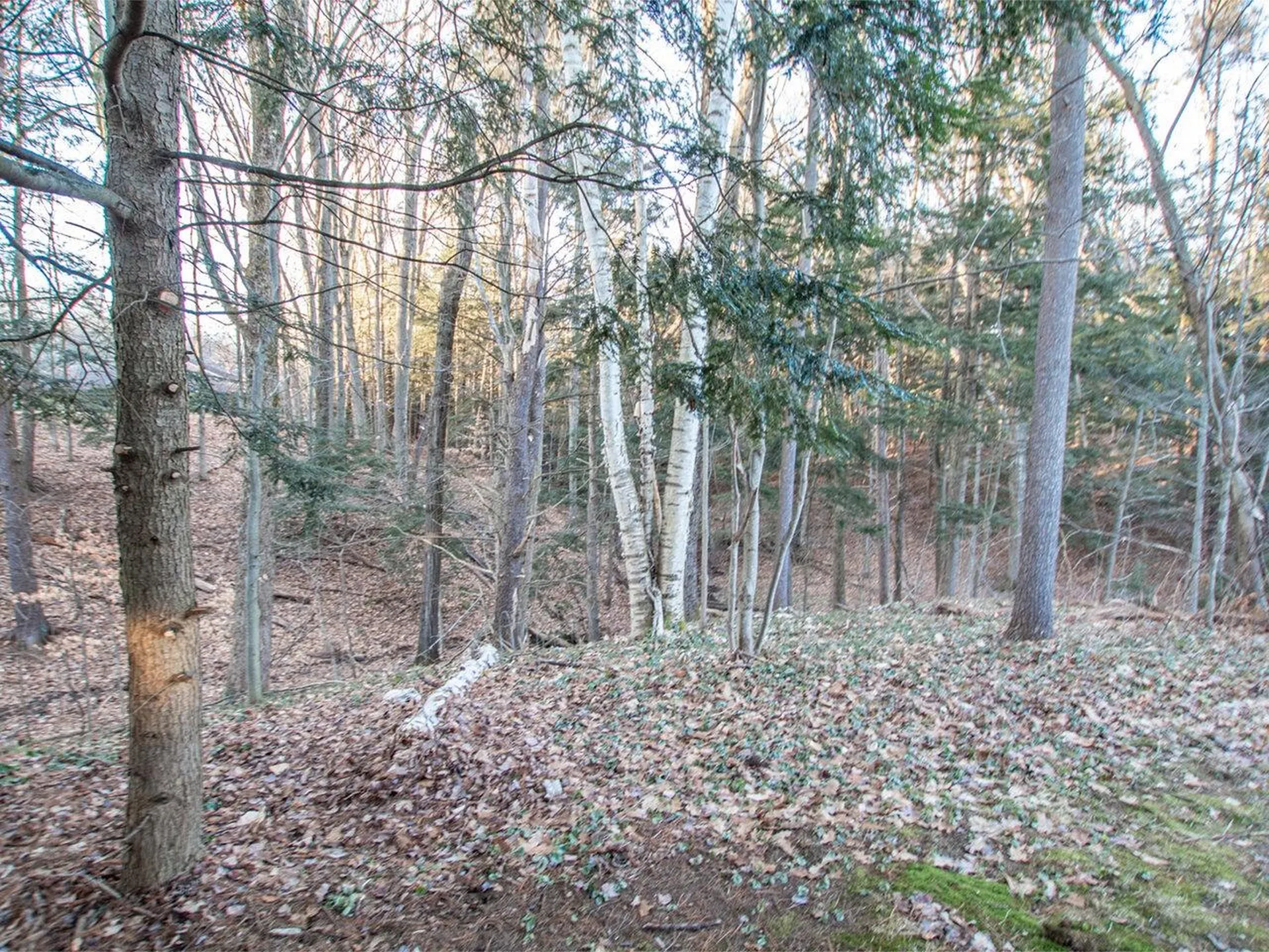 836 Middlewood Road Williston VT 05495