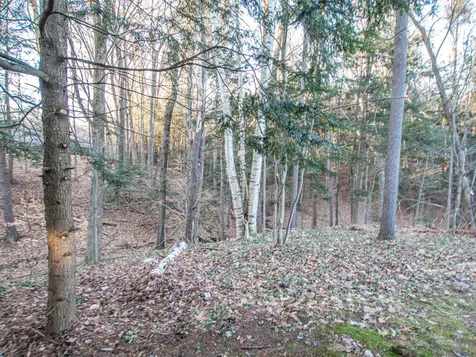 836 Middlewood Road Williston VT 05495