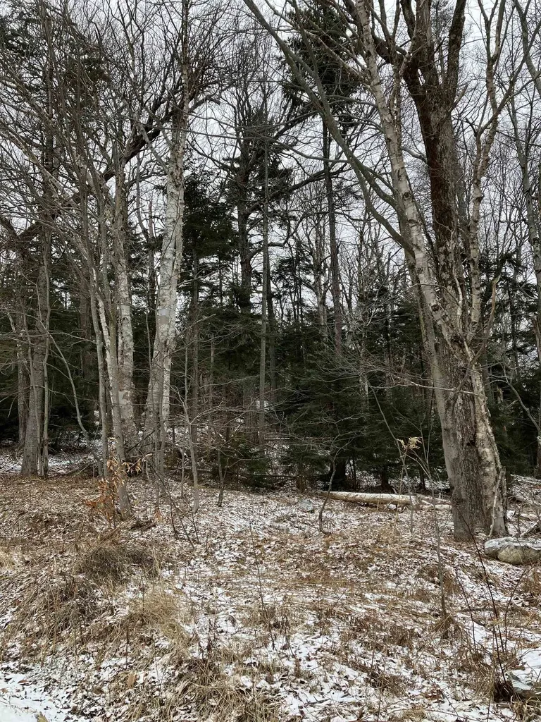 Lots 419 & 420 Shincracker Way Wilmington VT 05363