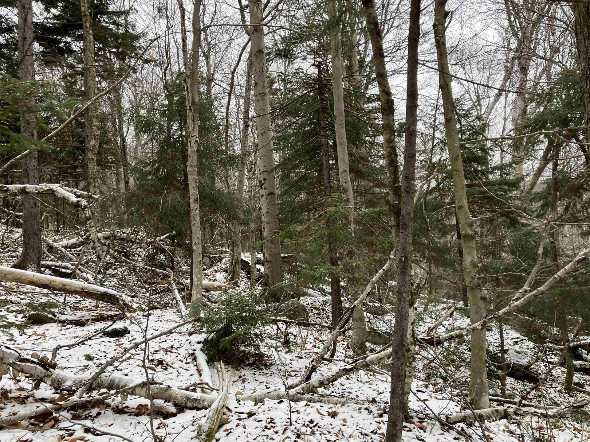 Lots 419 & 420 Shincracker Way Wilmington VT 05363