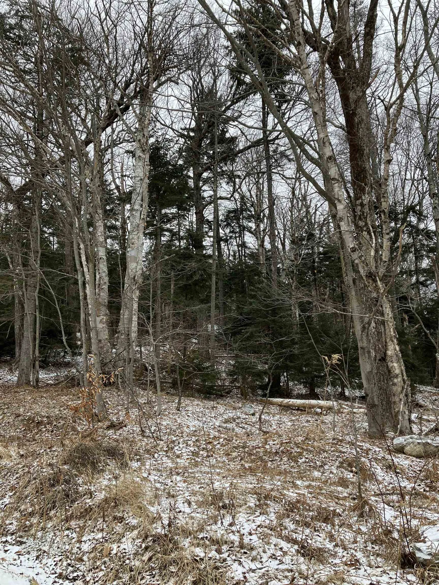 Lots 419 & 420 Shincracker Way Wilmington VT 05363