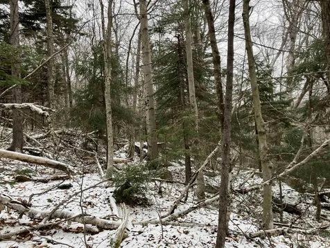 Lots 419 & 420 Shincracker Way Wilmington VT 05363