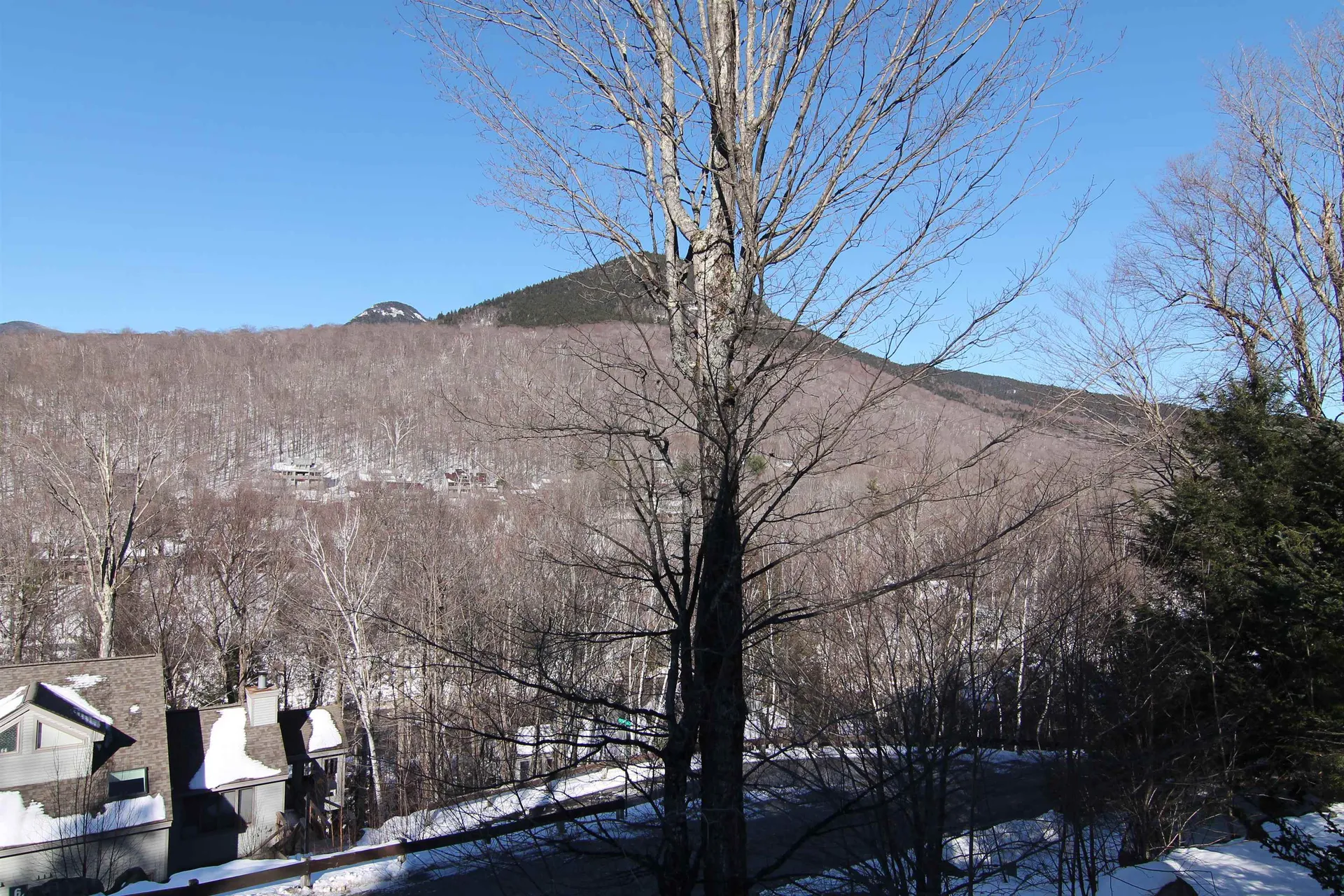 103 Black Mountain Road Lincoln NH 03251