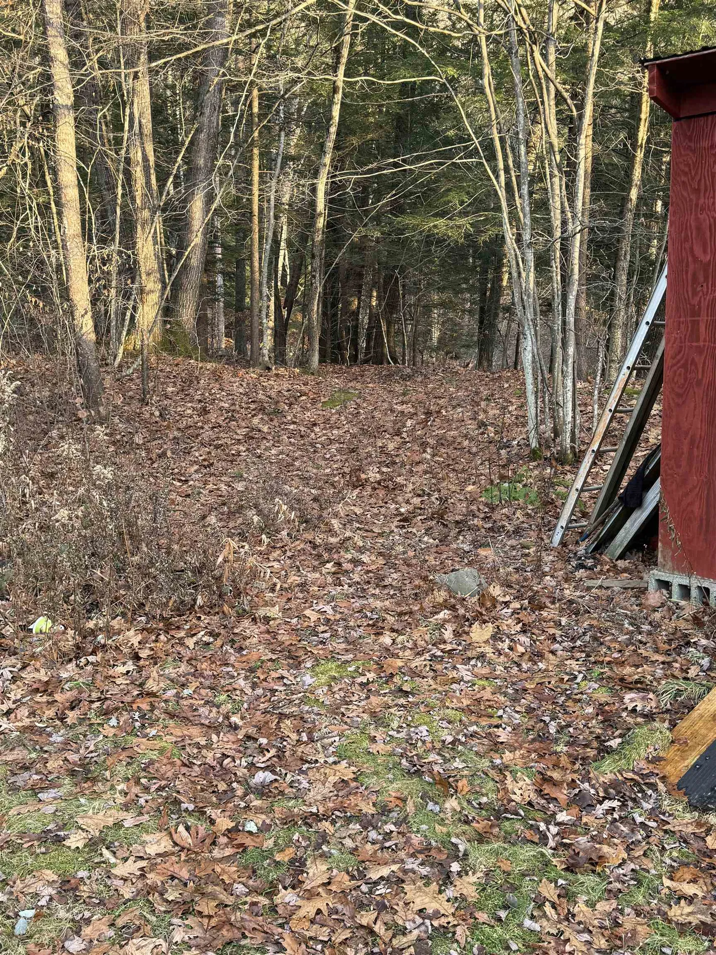 31 Valley Road Brattleboro VT 05301