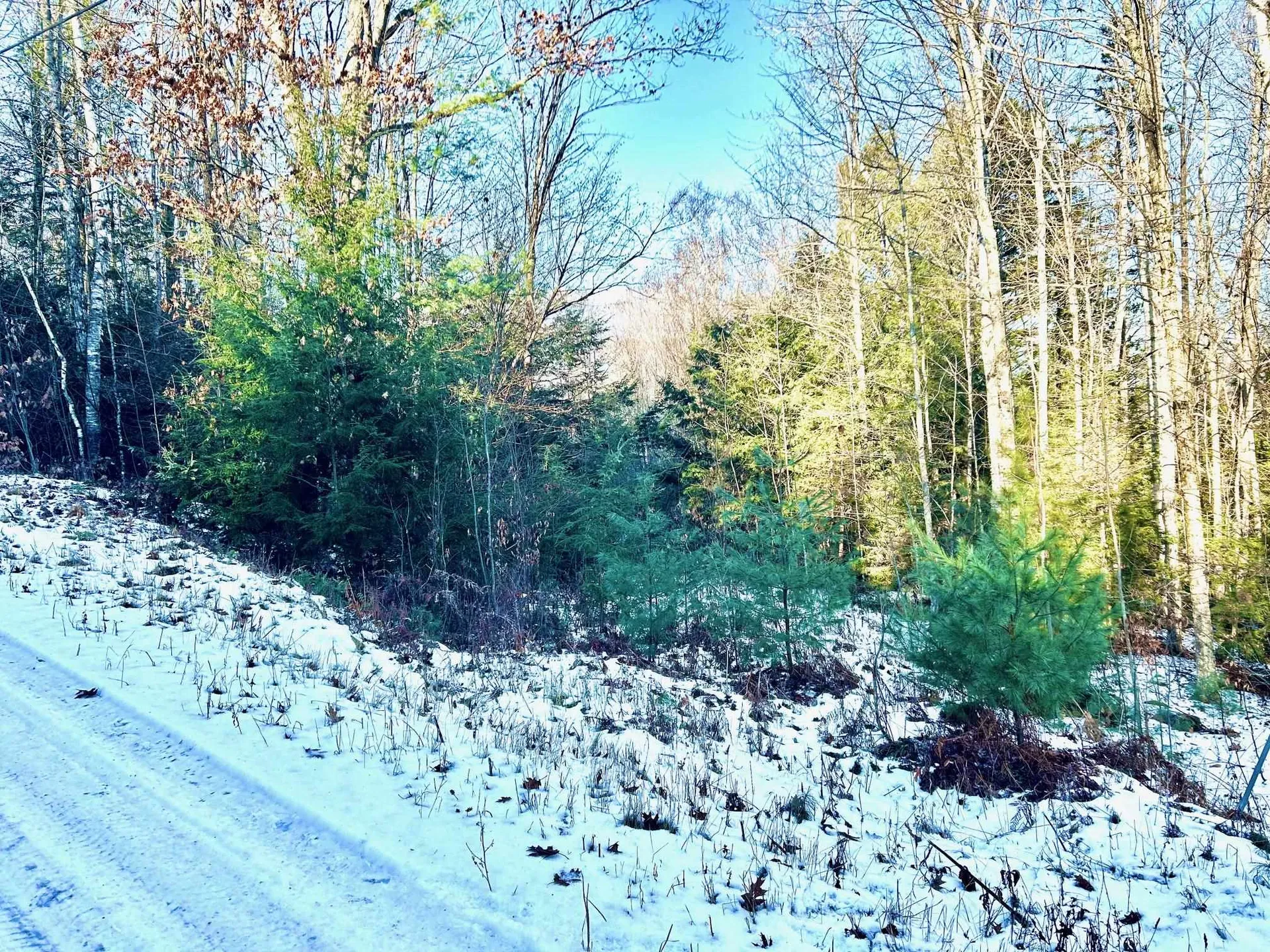 Longfellow Road Haverhill NH 03785