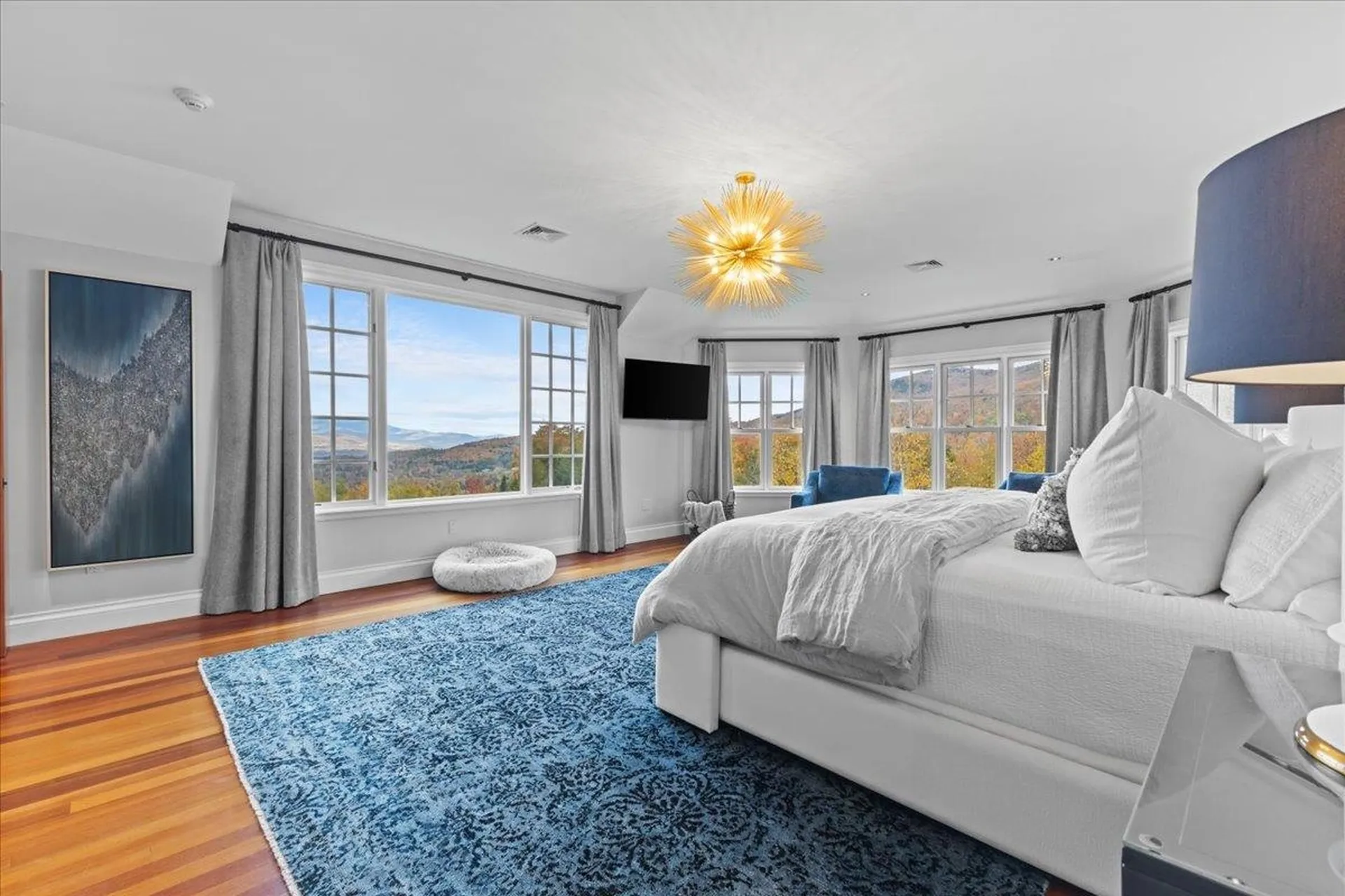 103 Pinnacle Meadow Road Stowe VT 05672