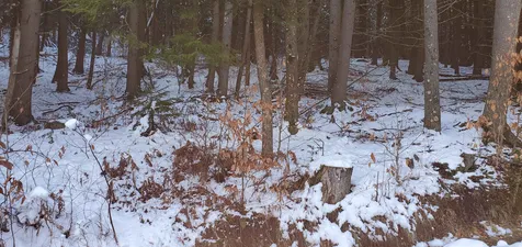 30 Bentley Lane Jericho VT 05465