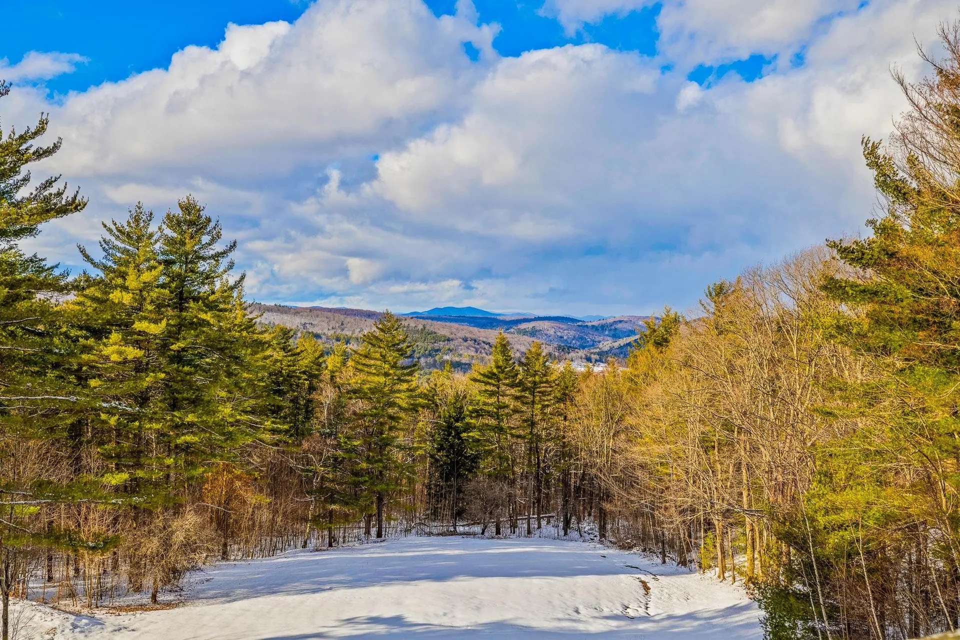 737 Skyline Drive Pomfret VT 05053