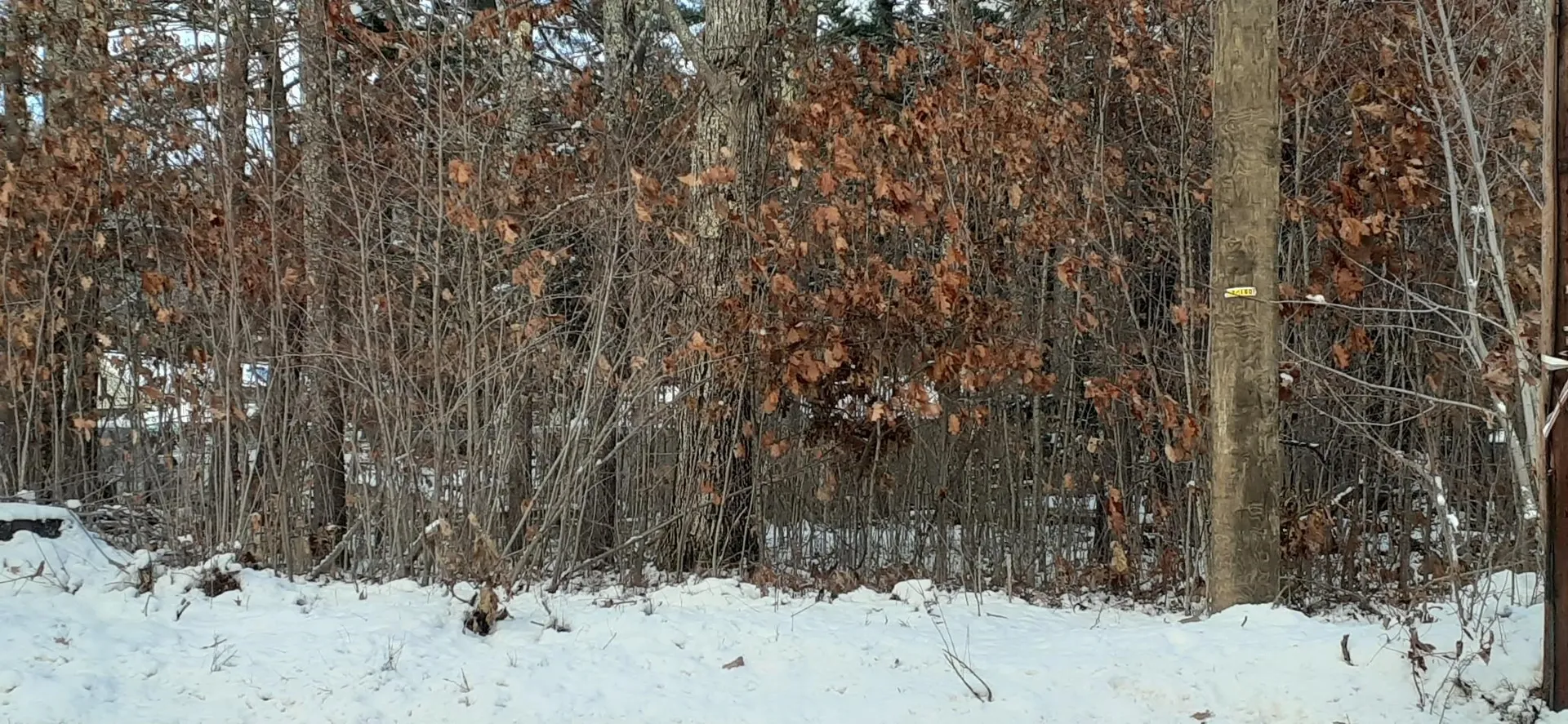 Lot 2 Mayhew Turnpike Bridgewater NH 03222