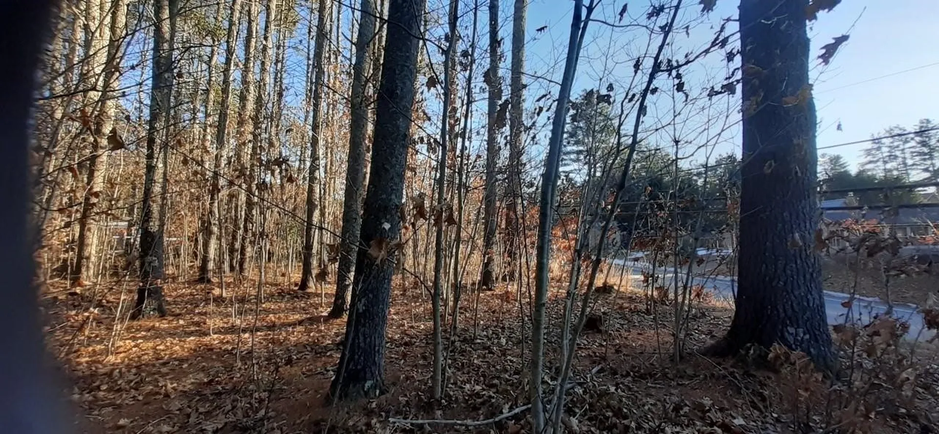 Lot 2 Mayhew Turnpike Bridgewater NH 03222