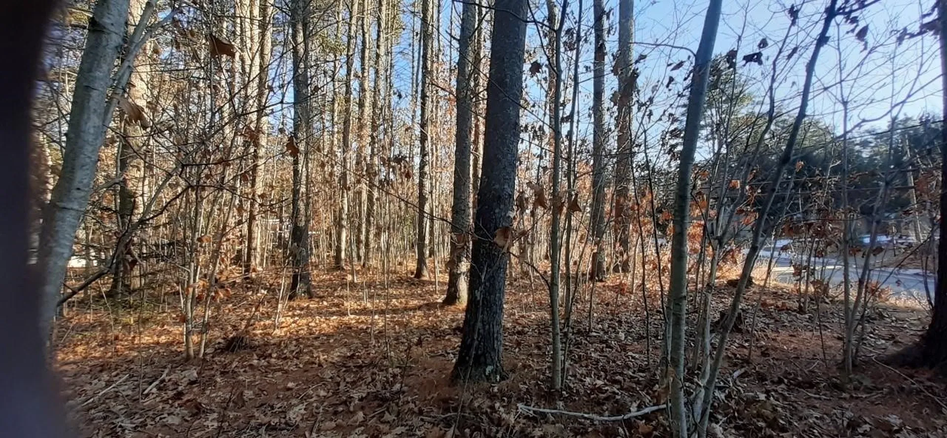 Lot 2 Mayhew Turnpike Bridgewater NH 03222