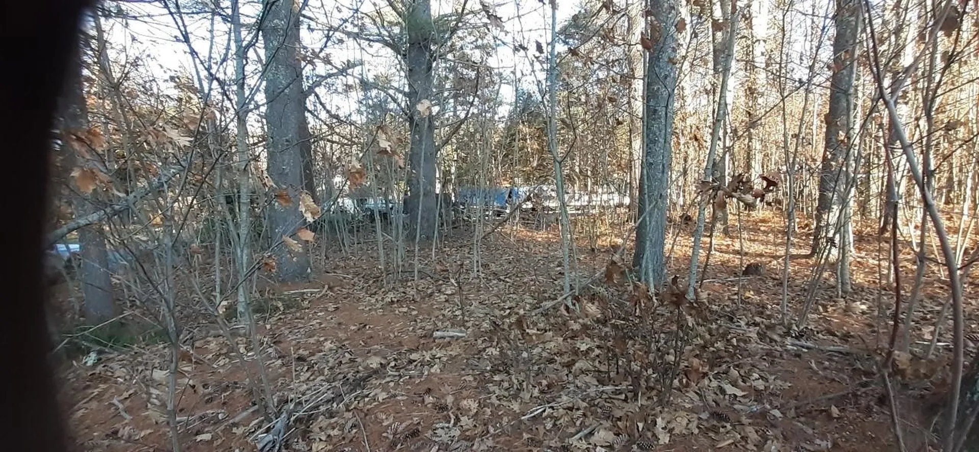 Lot 2 Mayhew Turnpike Bridgewater NH 03222