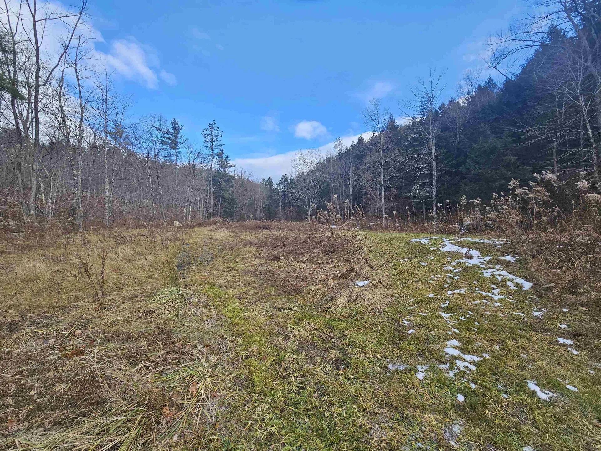 1308 Turkey Mountain Road Jamaica VT 05343