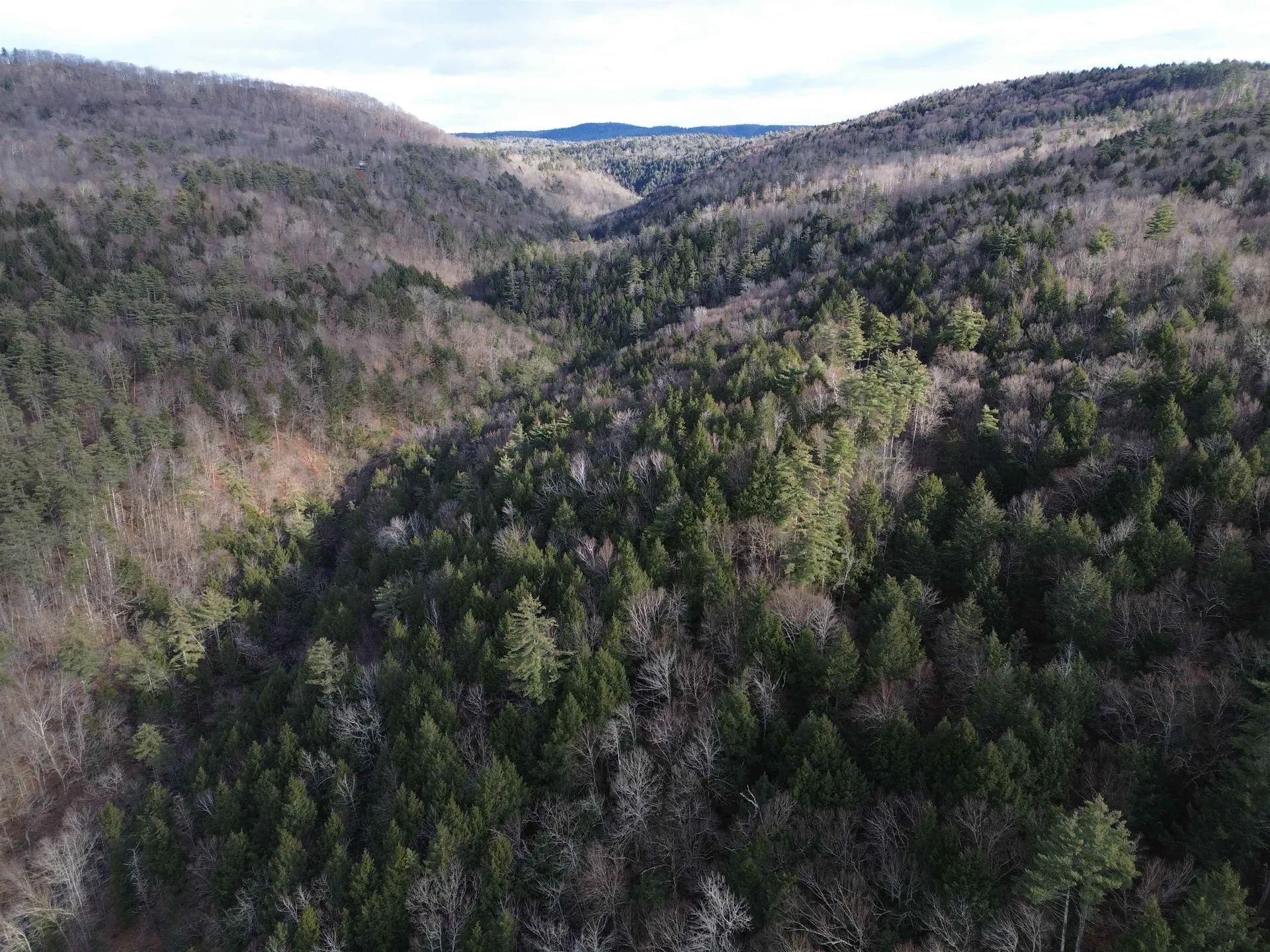 1308 Turkey Mountain Road Jamaica VT 05343