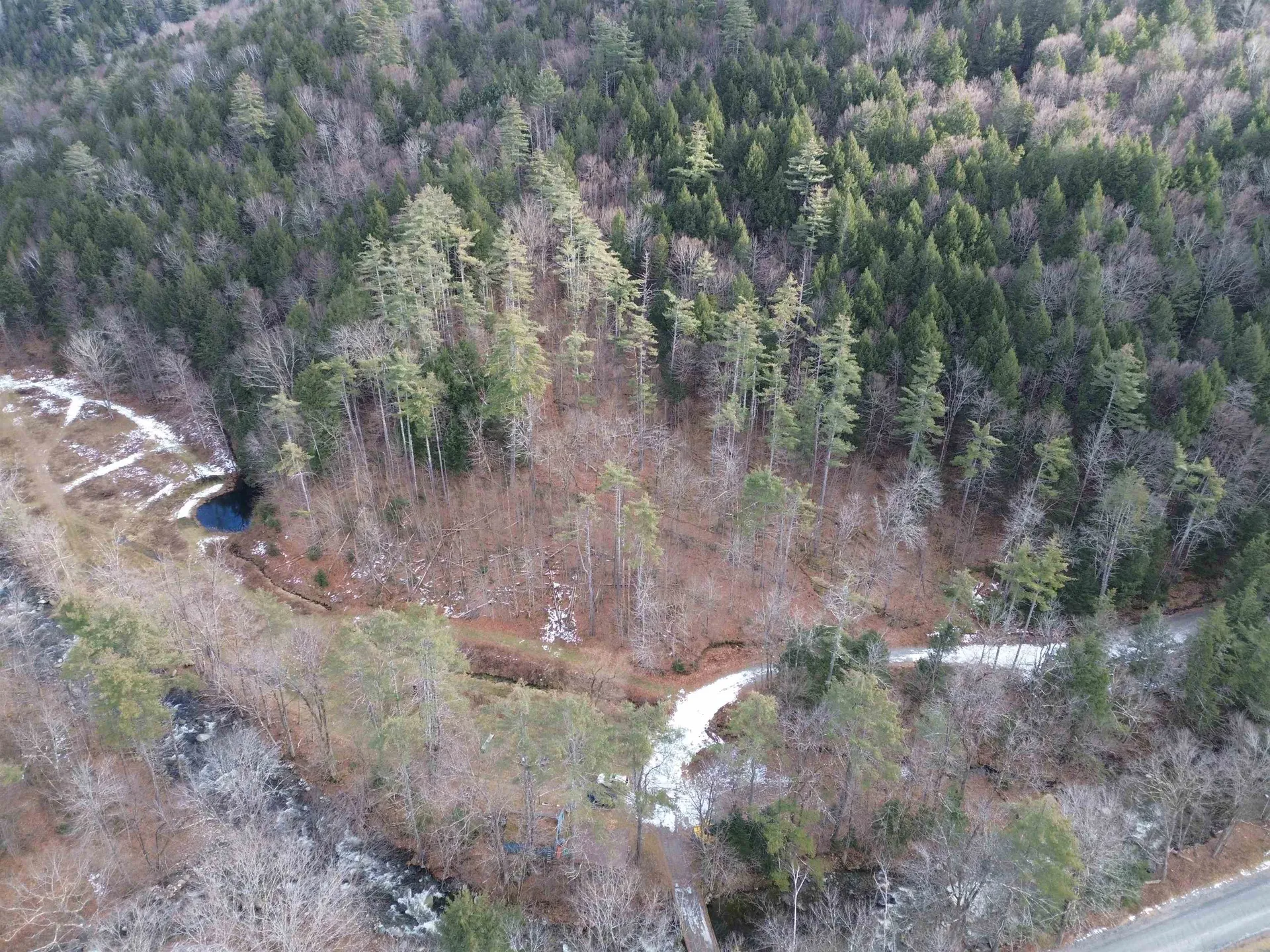 1308 Turkey Mountain Road Jamaica VT 05343