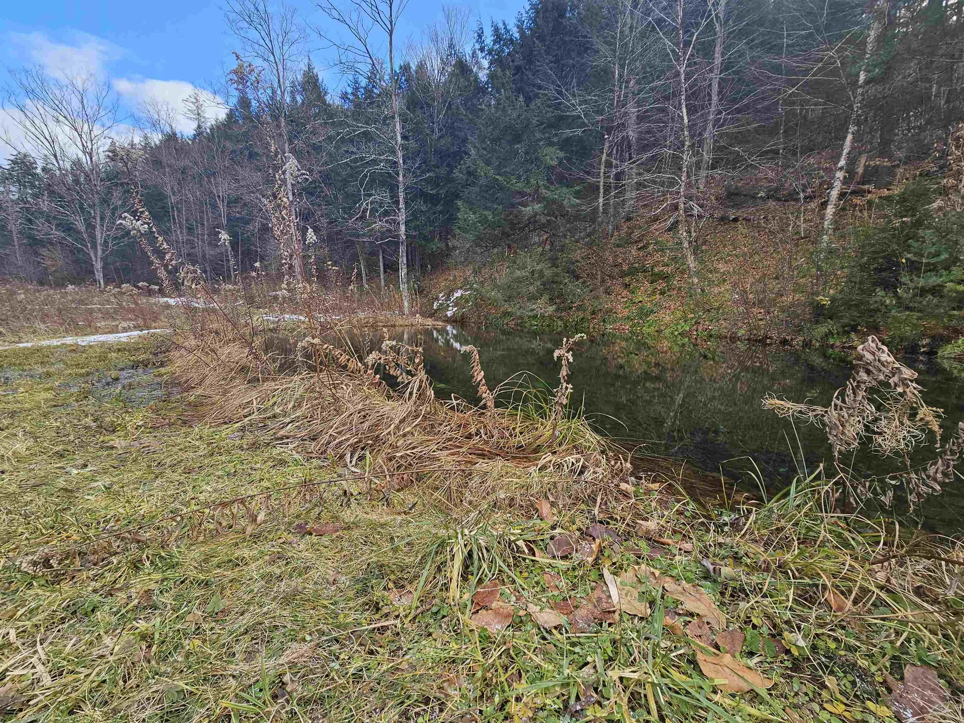 1308 Turkey Mountain Road Jamaica VT 05343