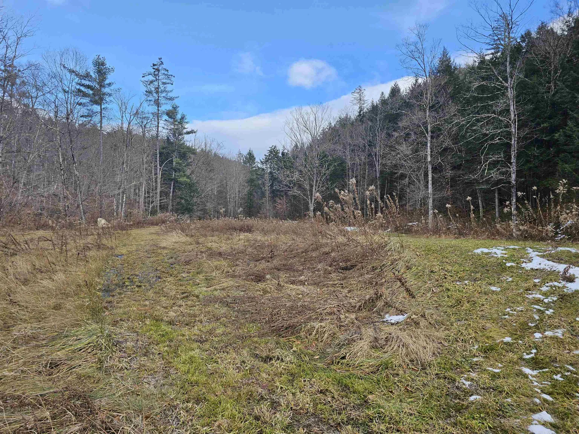 1308 Turkey Mountain Road Jamaica VT 05343