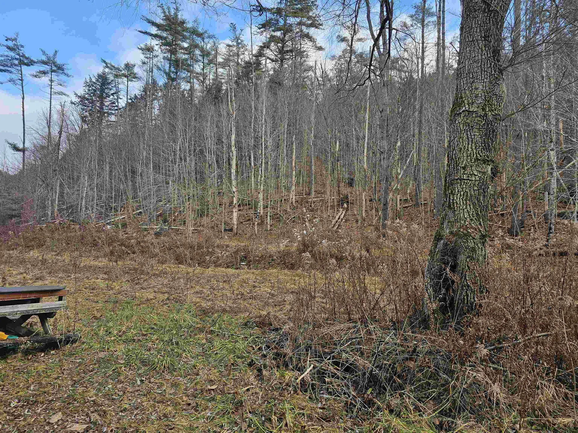 1308 Turkey Mountain Road Jamaica VT 05343