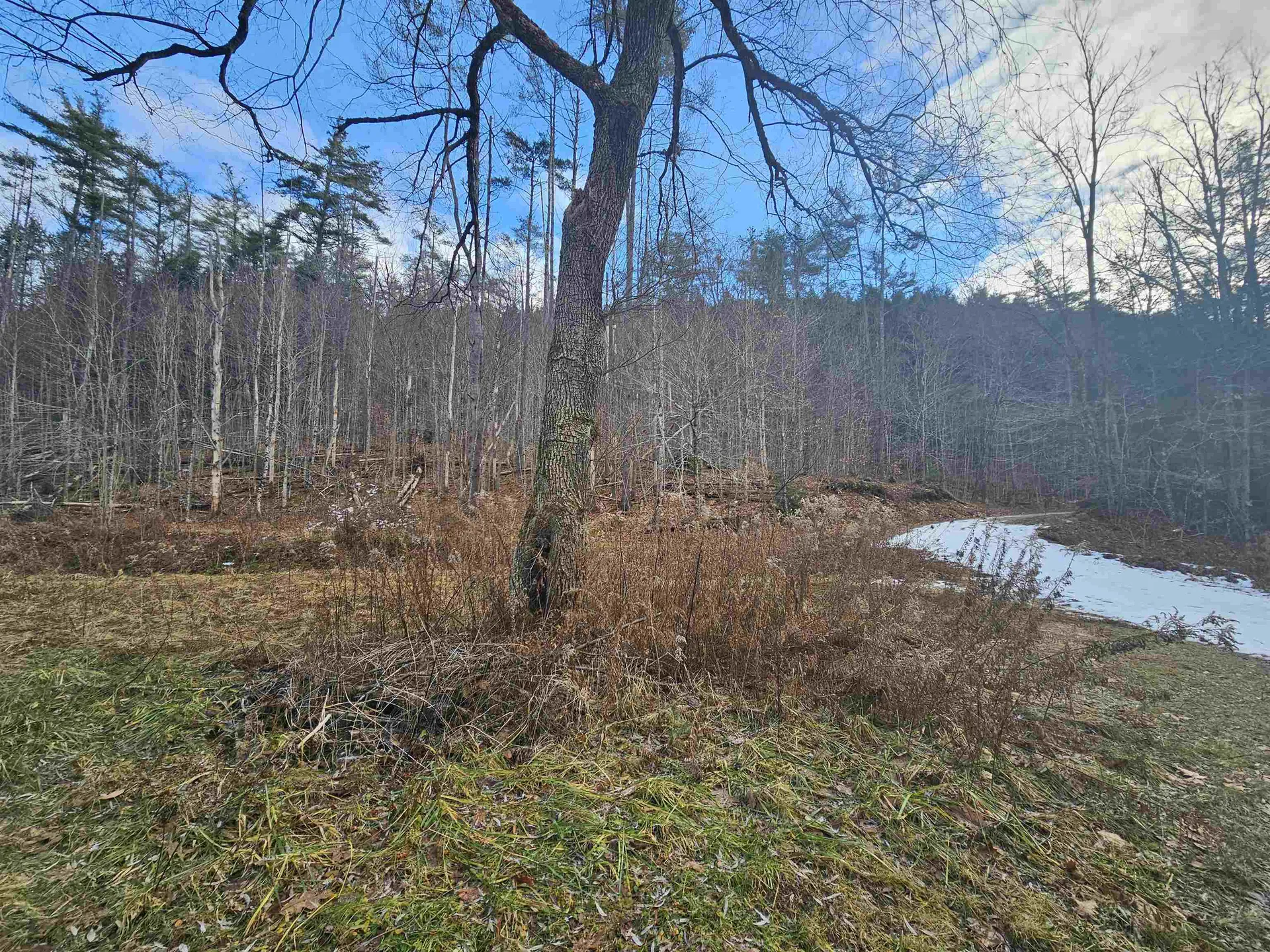 1308 Turkey Mountain Road Jamaica VT 05343