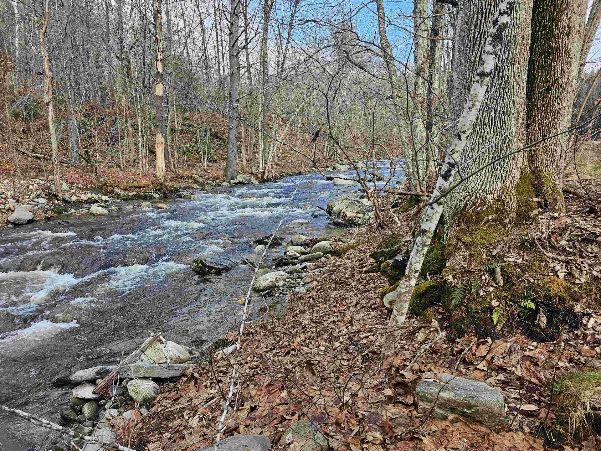 1308 Turkey Mountain Road Jamaica VT 05343