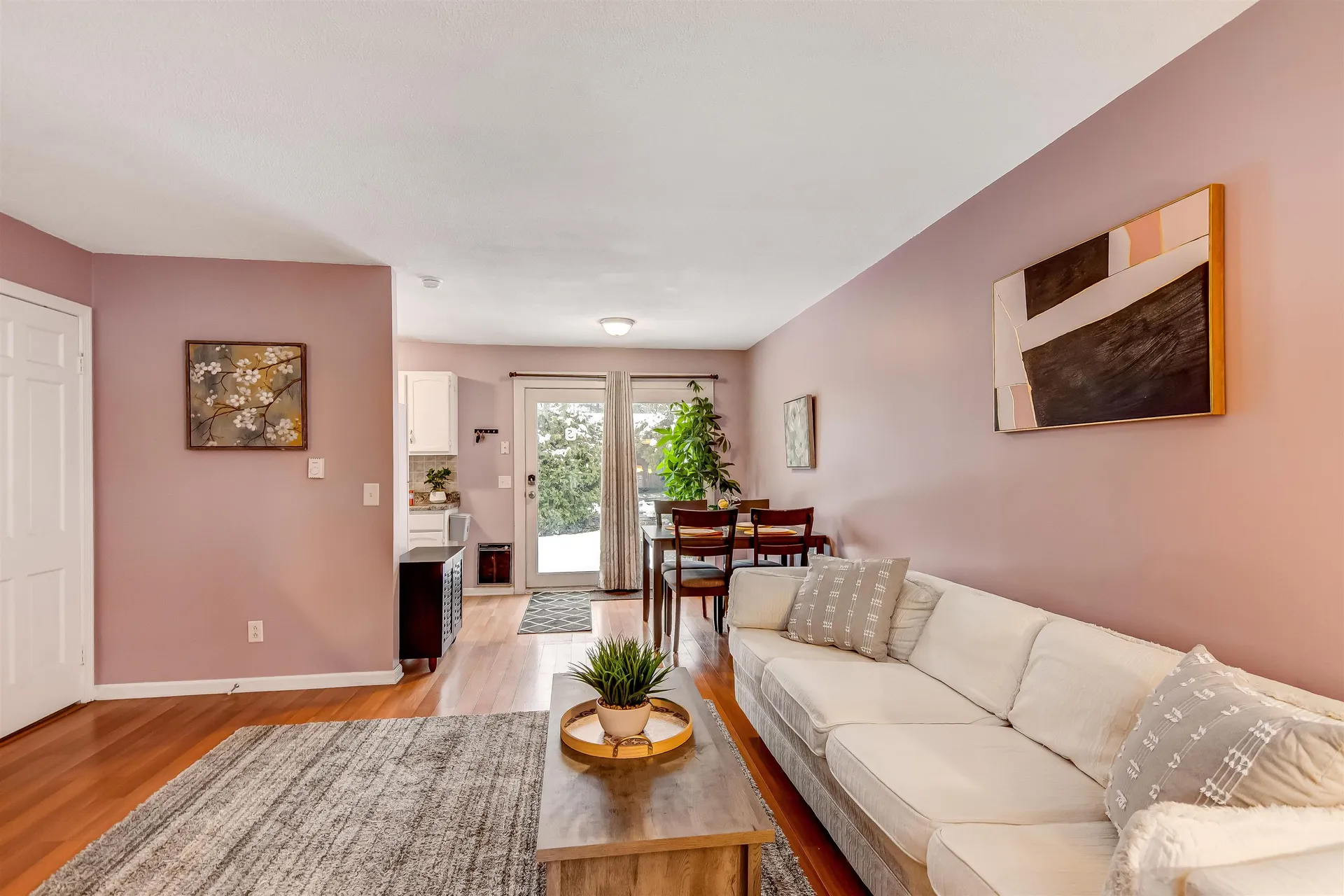 425 Dorset Street South Burlington VT 05403