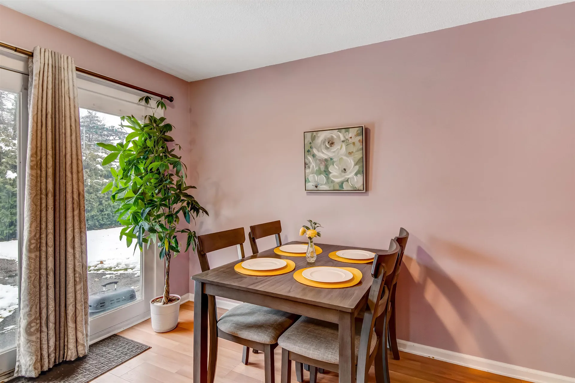 425 Dorset Street South Burlington VT 05403