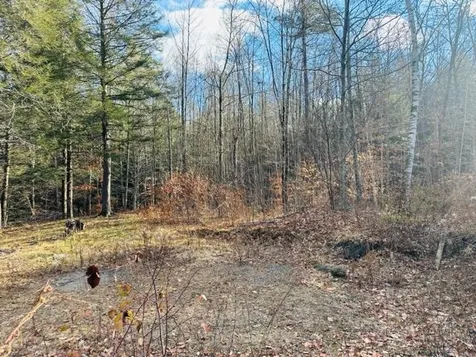 1066 Bonnyvale Road Brattleboro VT 05301