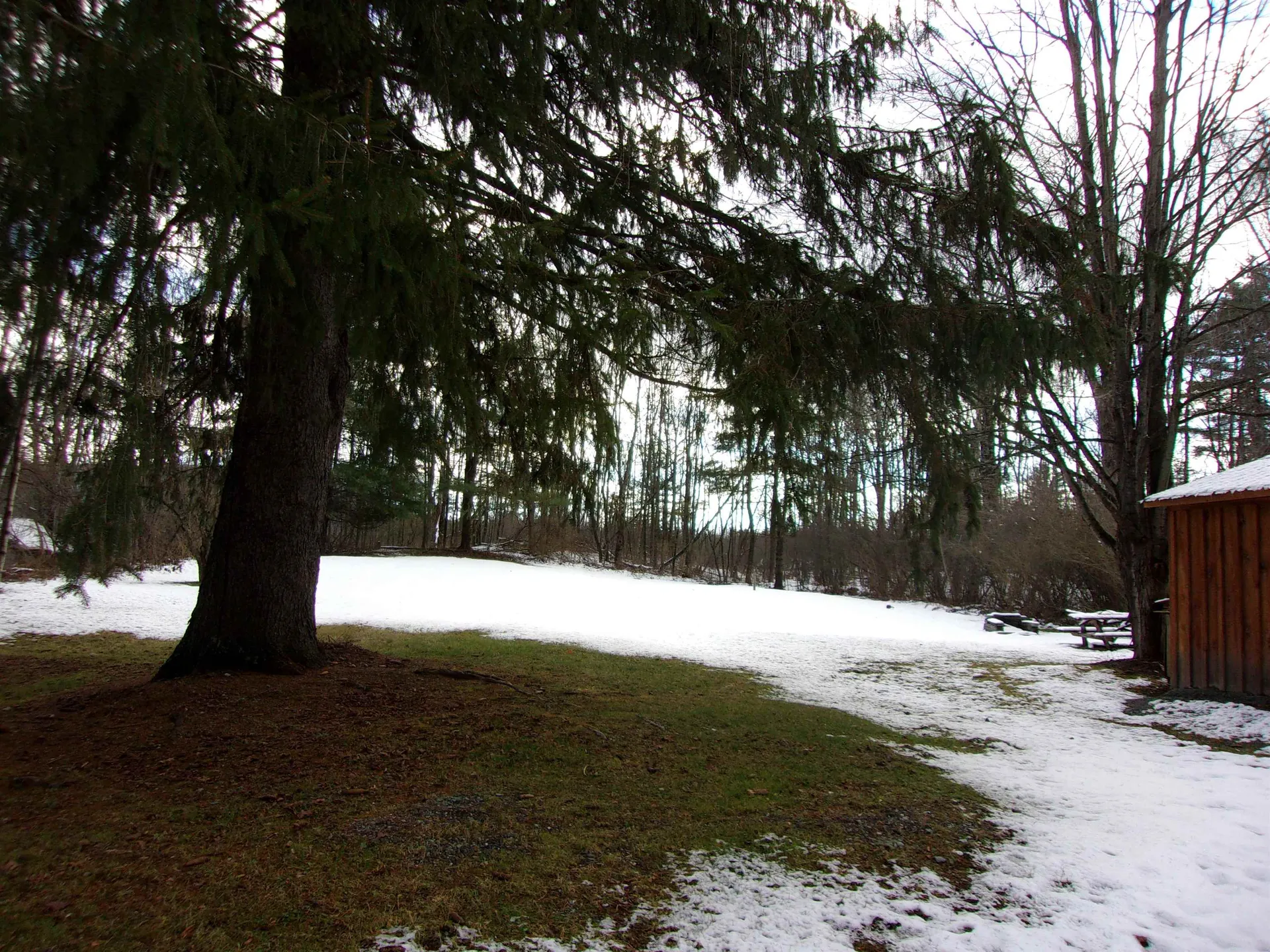 1055 Main Street Castleton VT 05735