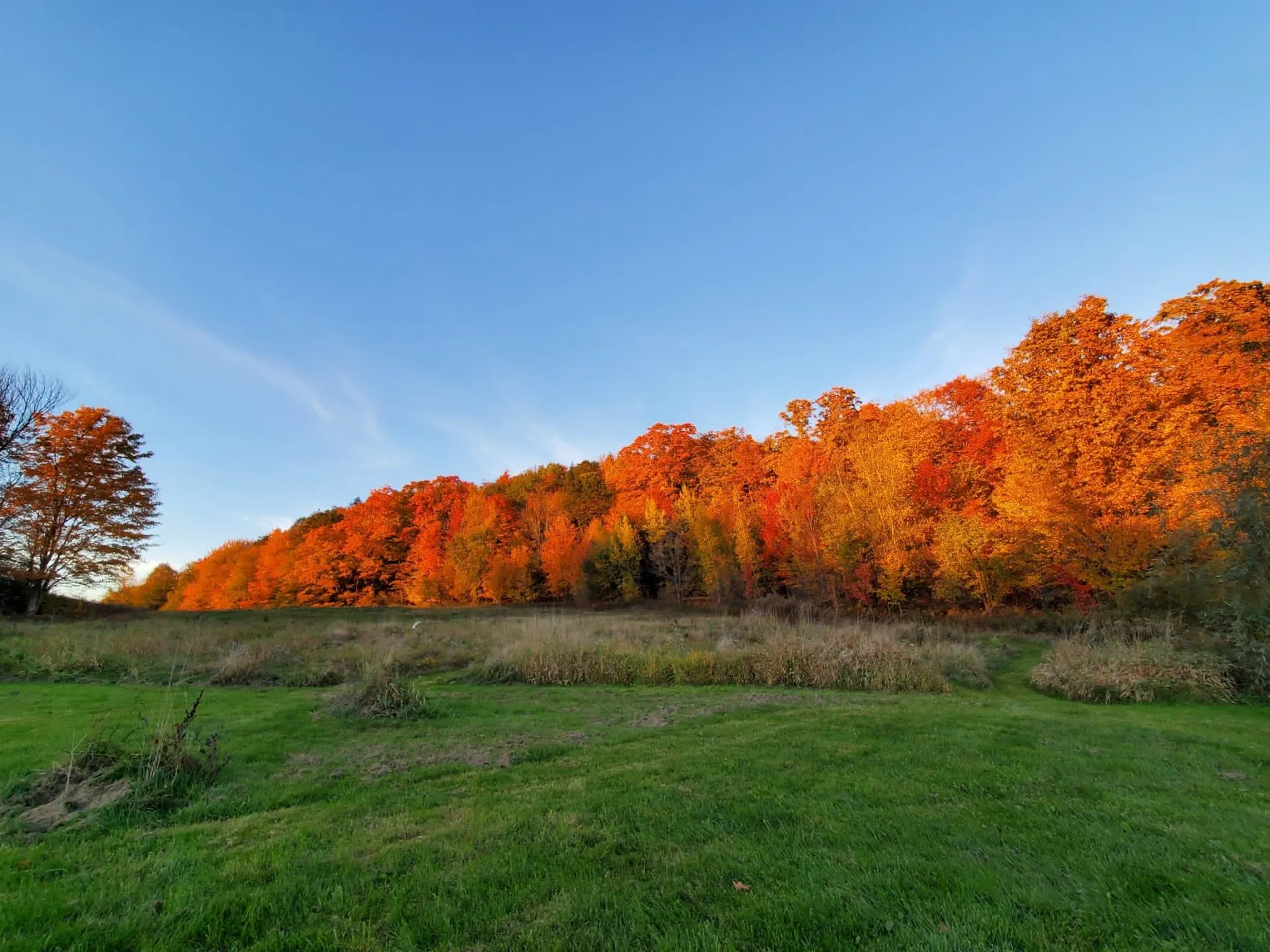 318 Dodd Road Fairfield VT 05448