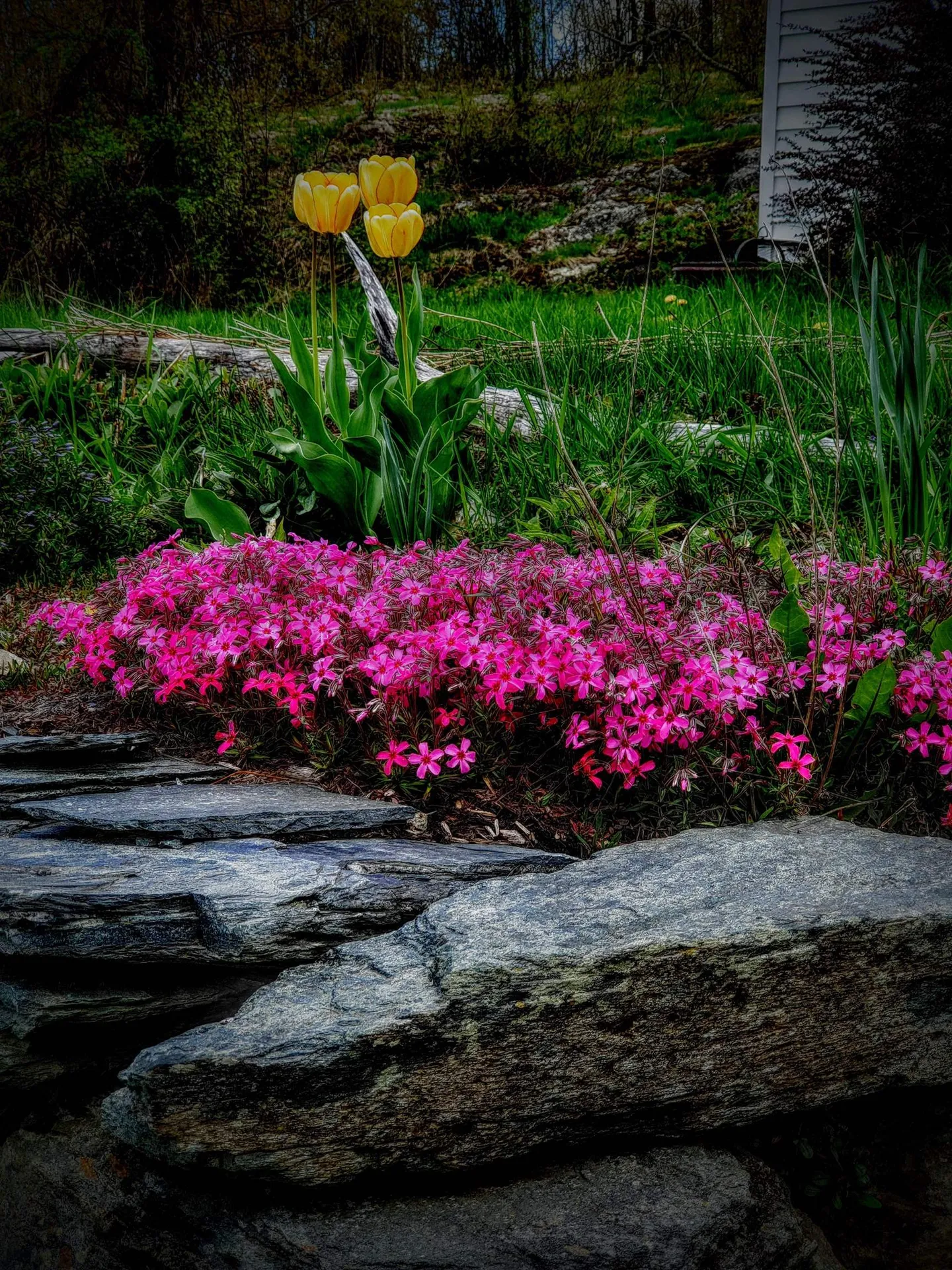 318 Dodd Road Fairfield VT 05448