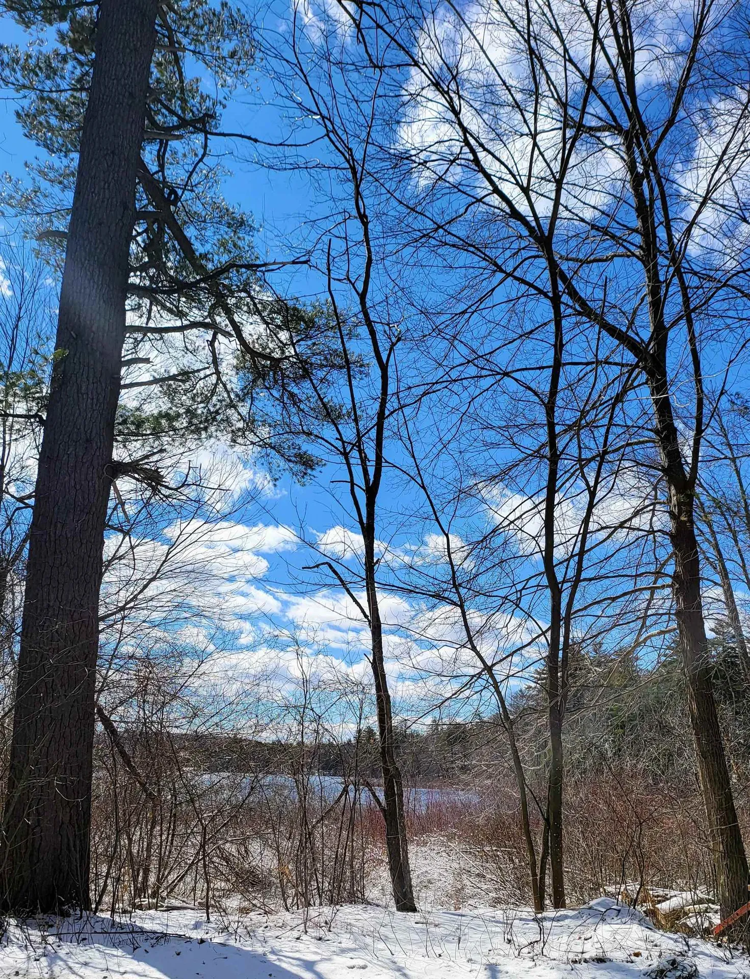 150 Gardners Grove Road Belmont NH 03220