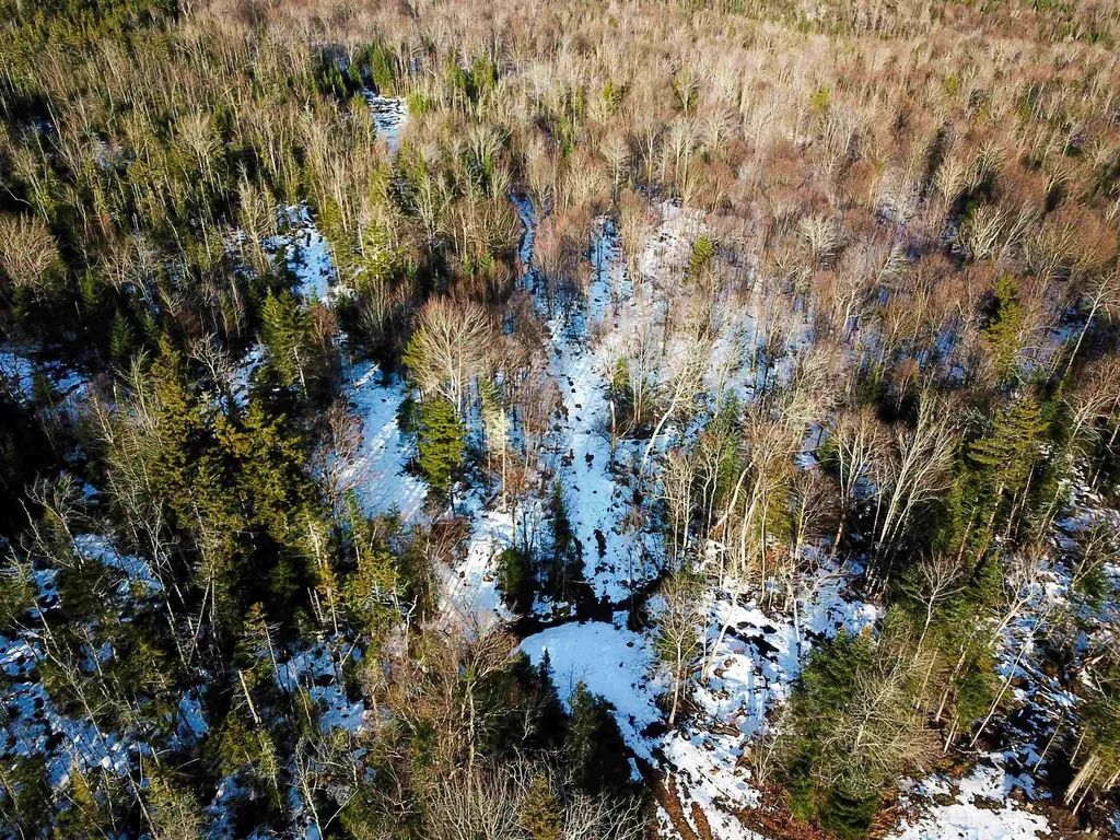 1659 Sims Hill Road Lemington VT 05903