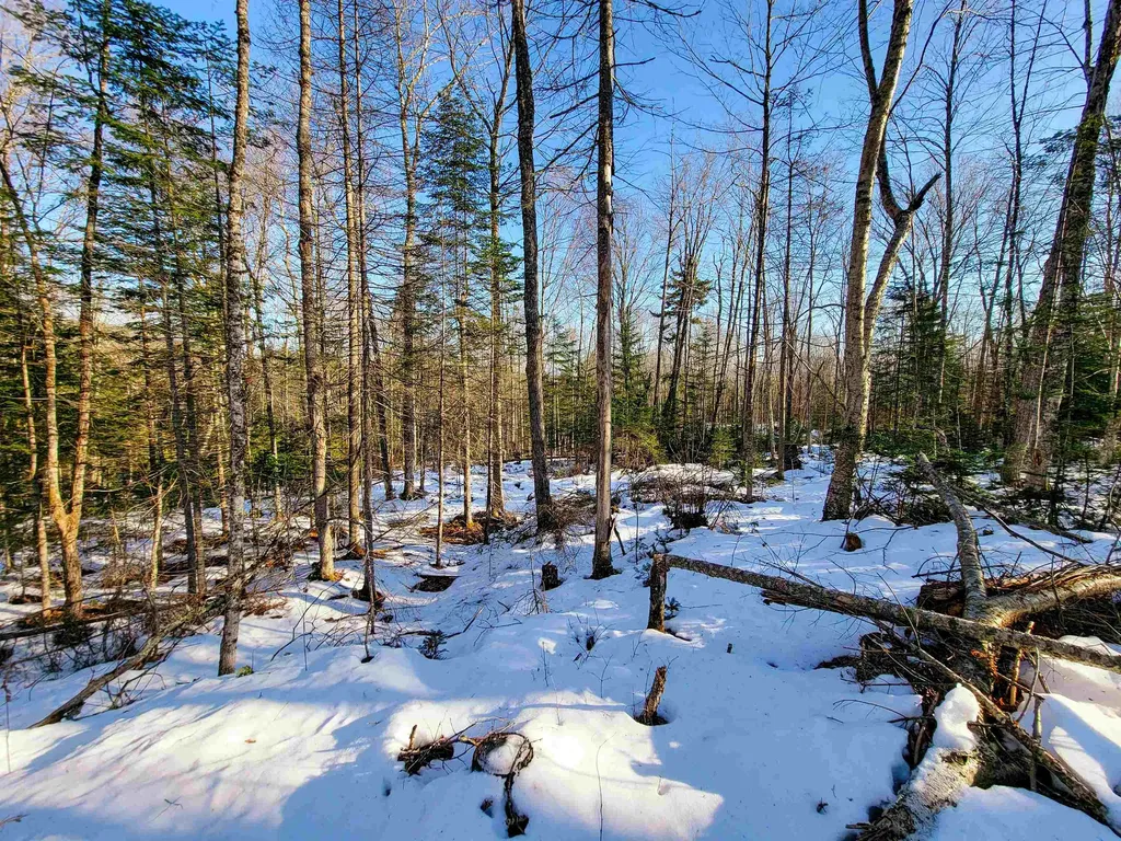 1659 Sims Hill Road Lemington VT 05903