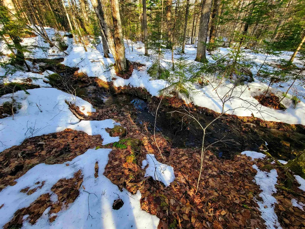 1659 Sims Hill Road Lemington VT 05903