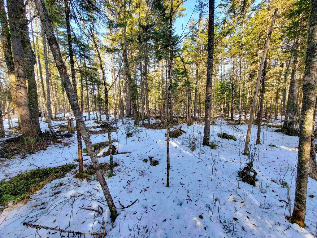 1659 Sims Hill Road Lemington VT 05903