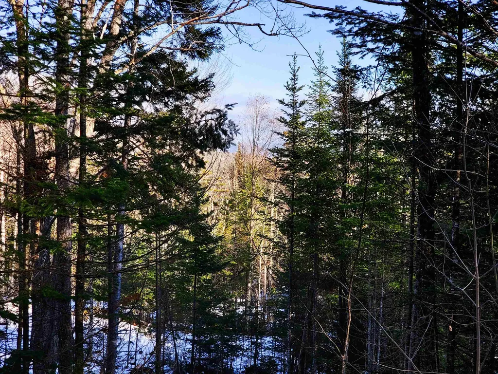 1659 Sims Hill Road Lemington VT 05903