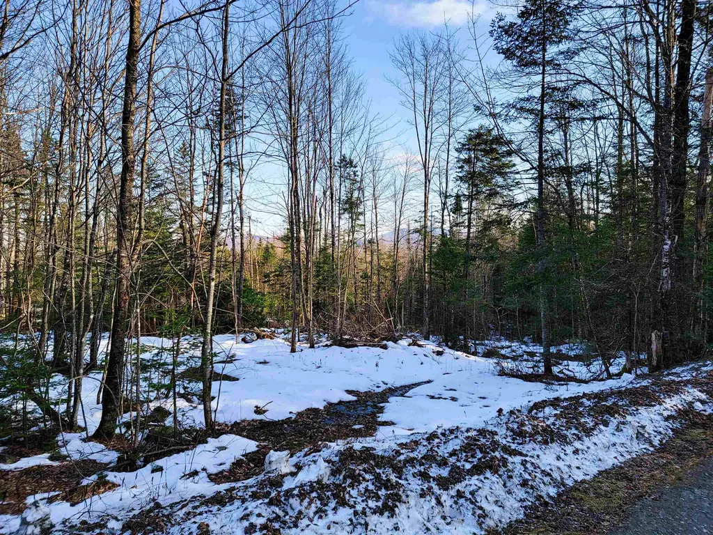 1659 Sims Hill Road Lemington VT 05903