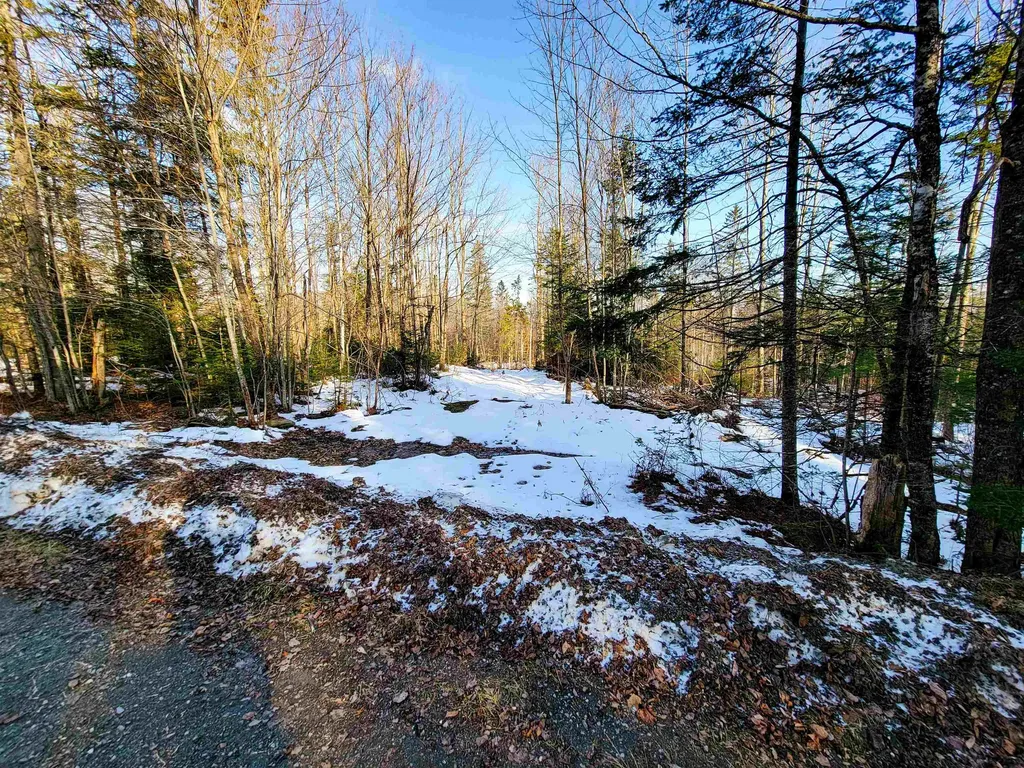 1659 Sims Hill Road Lemington VT 05903