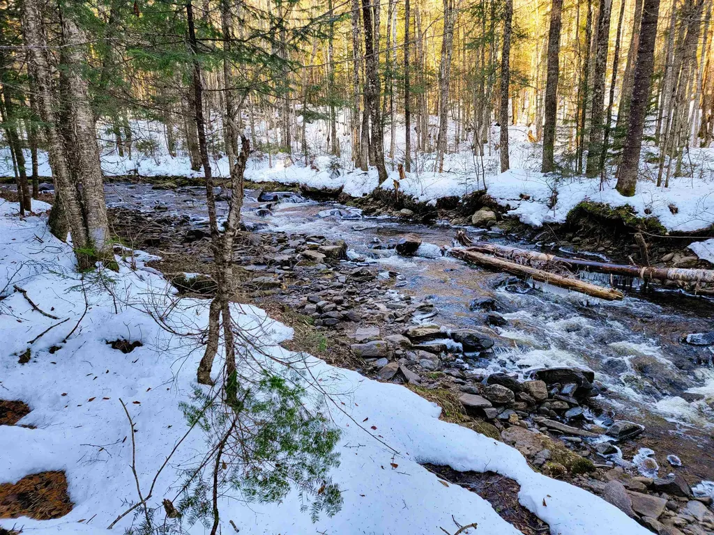 1659 Sims Hill Road Lemington VT 05903