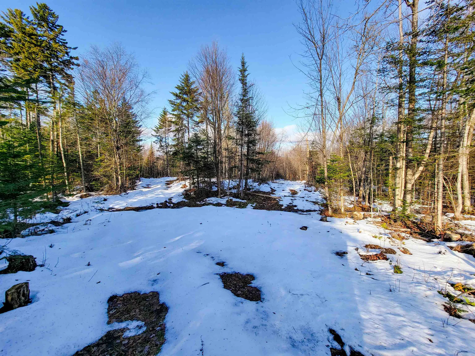 1659 Sims Hill Road Lemington VT 05903