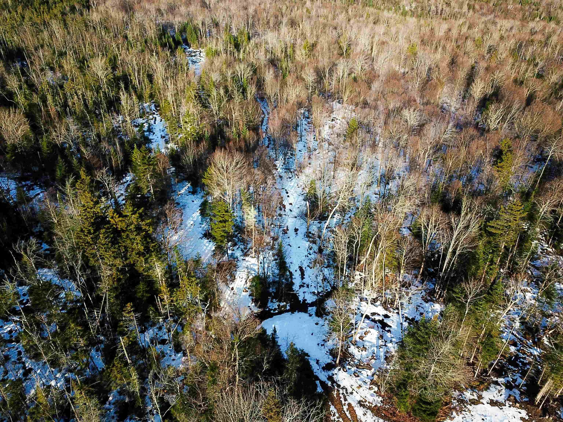 1659 Sims Hill Road Lemington VT 05903