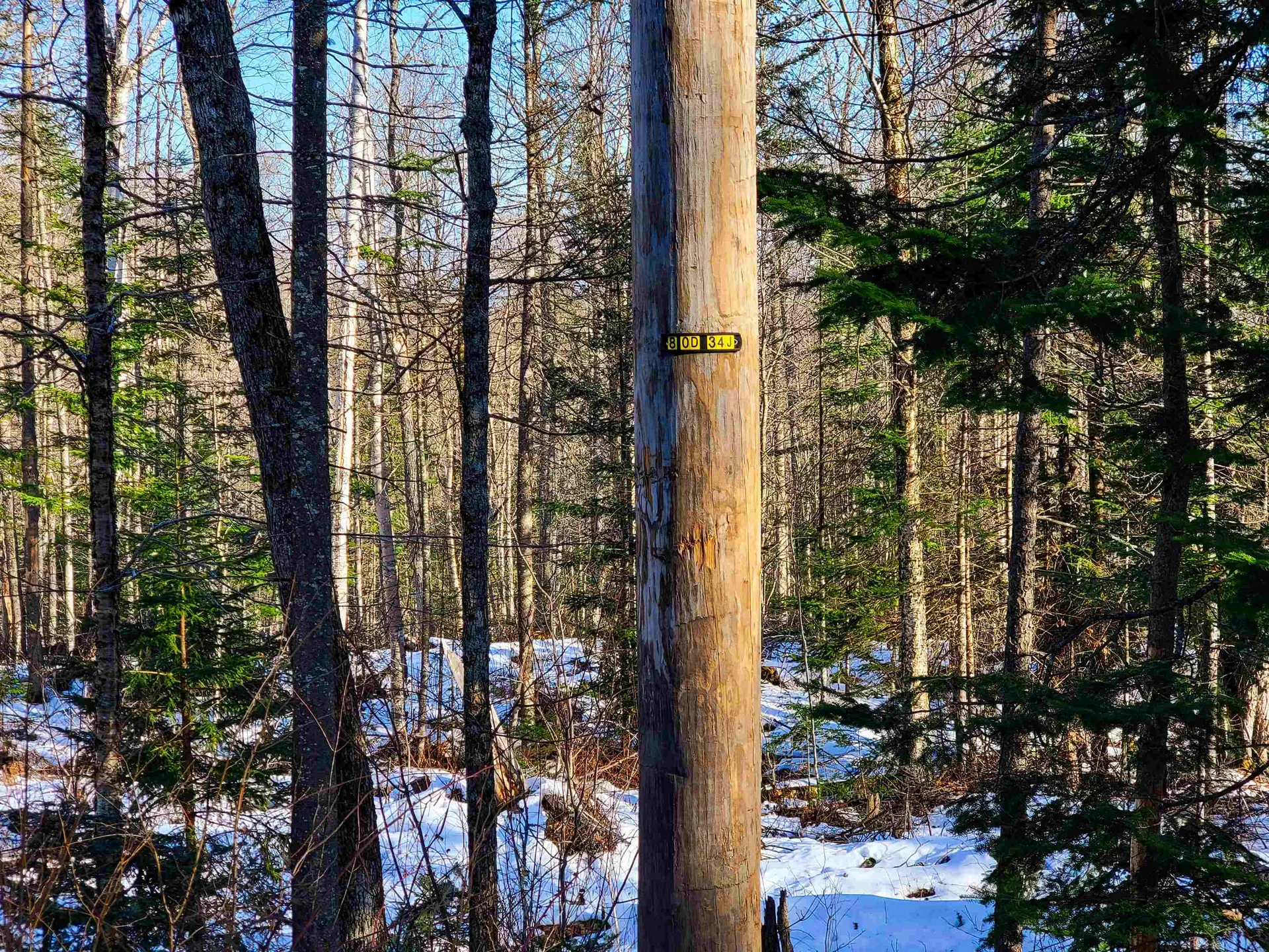 1659 Sims Hill Road Lemington VT 05903