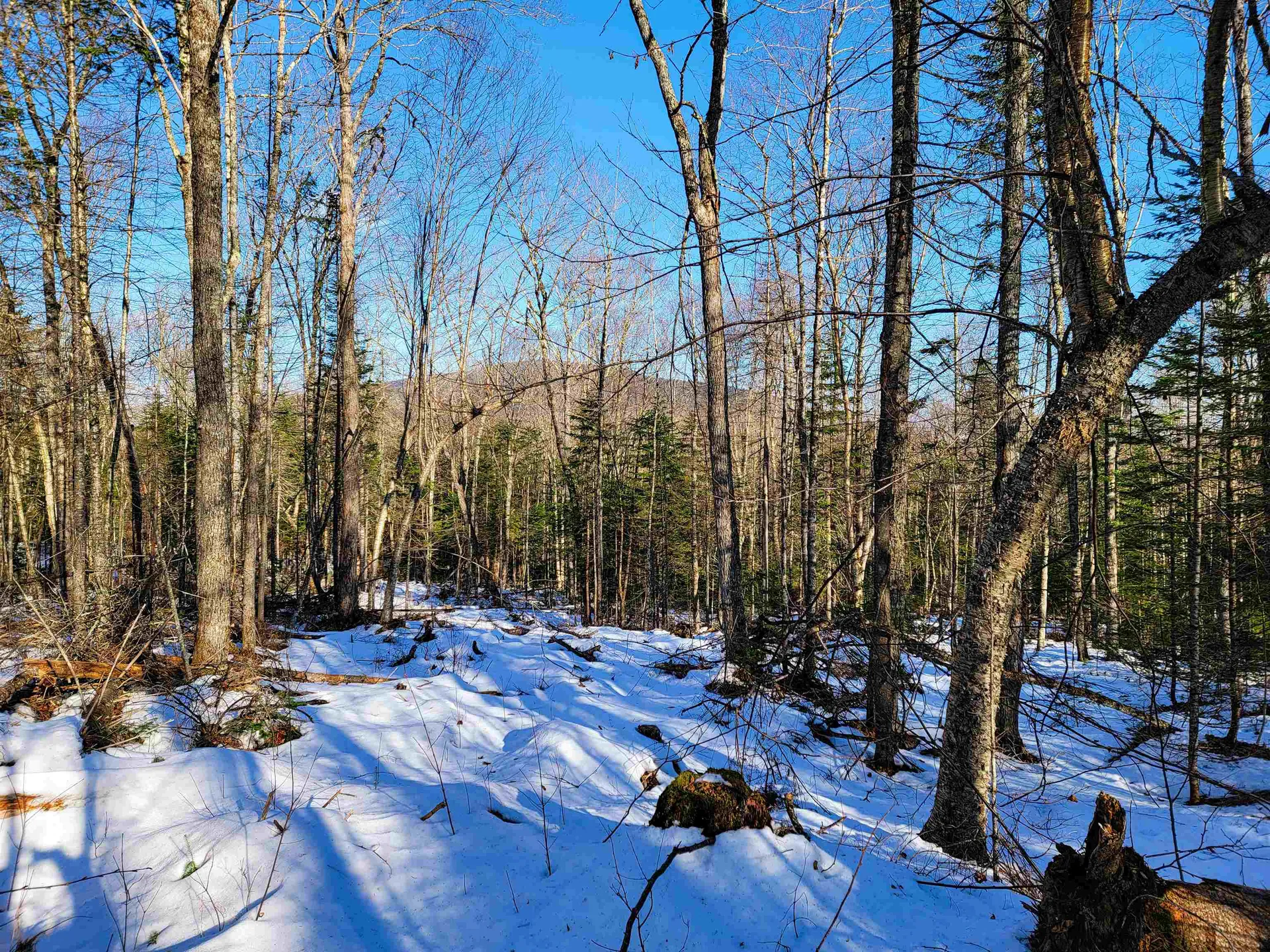 1659 Sims Hill Road Lemington VT 05903