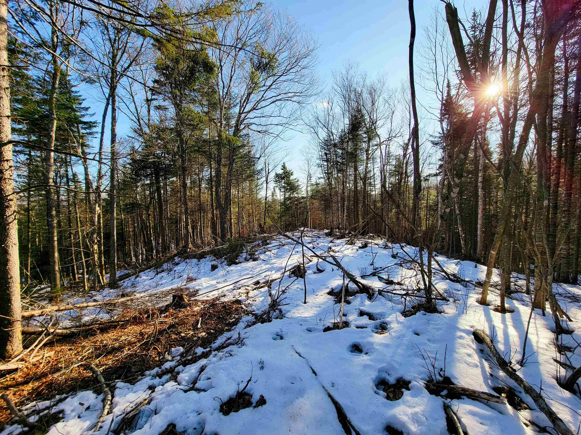 1659 Sims Hill Road Lemington VT 05903